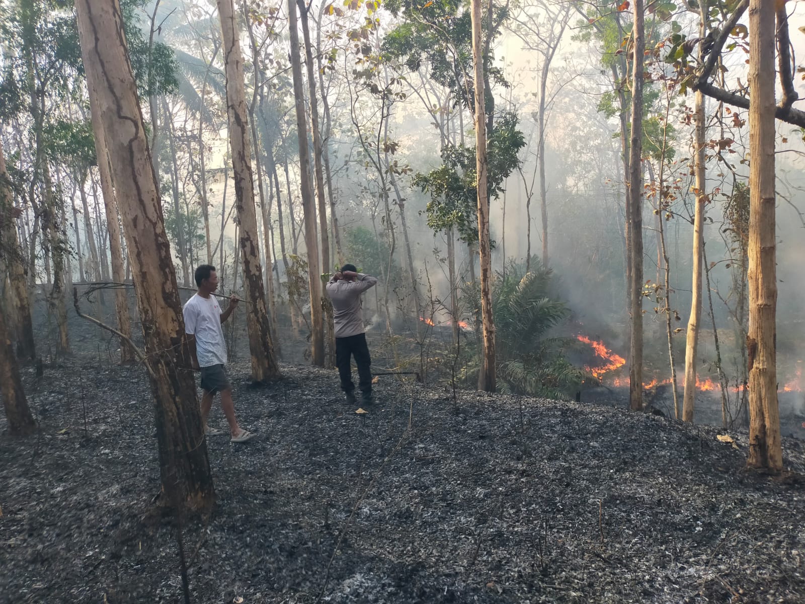 Respons Cepat Polisi Polsek Banyumas Berbuah Hasil, Kebakaran Kebun Jati di Kalisube Banyumas Berhasil Dipadamkan