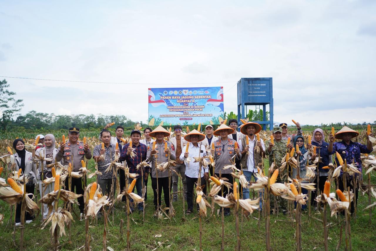 Panen Raya Jagung di Banyumas, Polri Perkuat Ketahanan Pangan Lewat Gudang dan SPPG