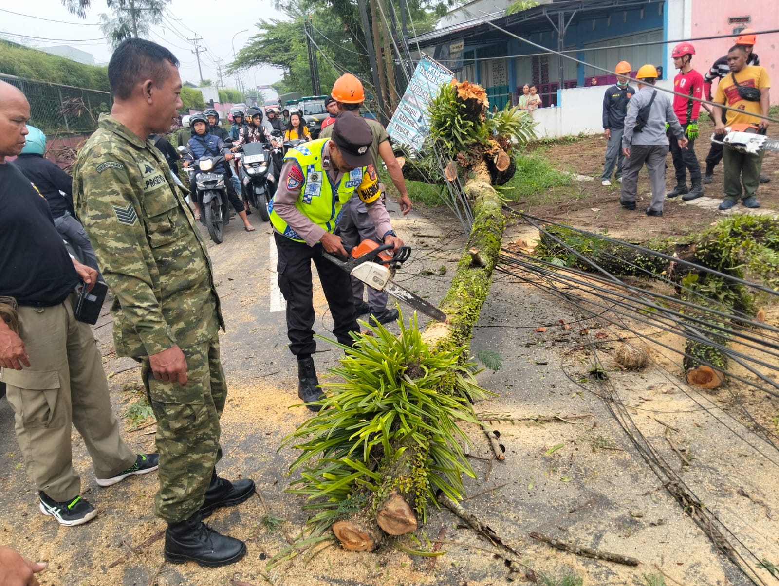 Pohon Tumbang Tutup Jalan di Kembaran, Polisi Banyumas dan Tim Gabungan Gerak Cepat Evakuasi